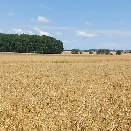 Privatunterkunft Dworek Sw. Antoniego Ii *
